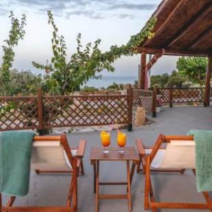 Фотографии гостевого дома
Ktima Argyrou