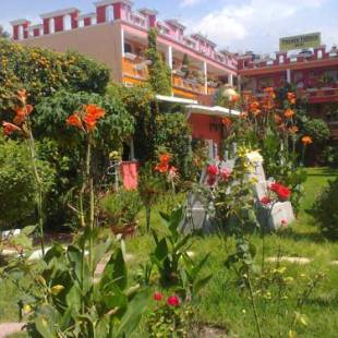 Фотографии мини отеля
Hotel Posada Tolteca