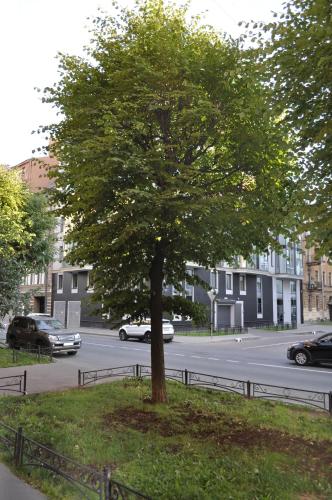 Фотография апарт отеля Офицерский