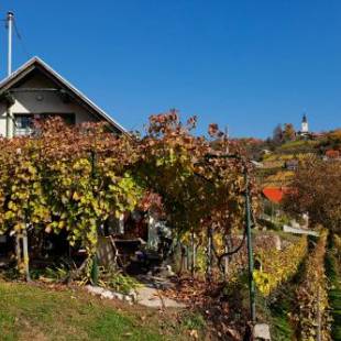 Фотографии гостевого дома
Vineyard Cottage Vercek