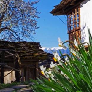 Фотографии гостевого дома
Karashka house