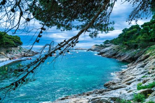 Фотография гостевого дома Casa Aigua Freda