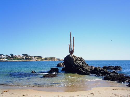 Фотография гостевого дома CABAÑA QUISQUEÑA