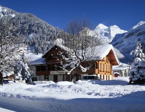 Фотография гостиницы Hotel Alpina