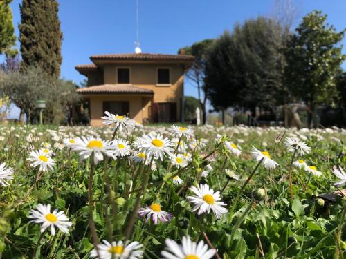 Фотография мини отеля Jenny's Country Dreamhouse B&B