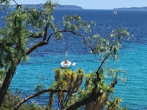 Фотография гостиницы Hotel L'Orangeraie