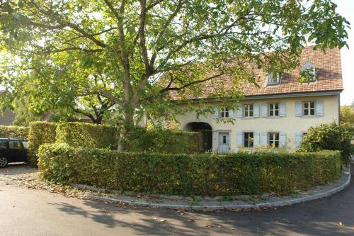 Фотография мини отеля Blue Wall BnB