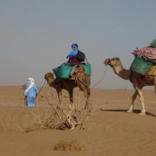 Фотография кемпинга Lahcen Sahara