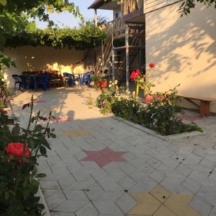 Фотография гостевого дома Cолнечный