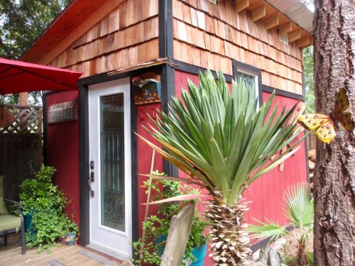 Фотография мини отеля Magnolia Petal