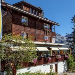 Фотография гостиницы Hotel Arlenwald