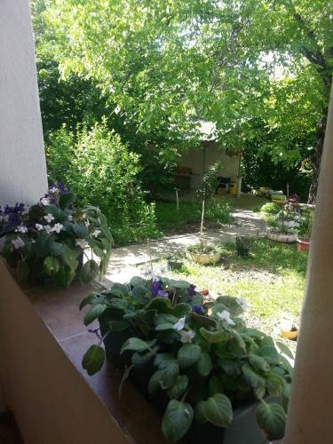 Фотографии хостела
El Saro