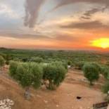 Фотография базы отдыха B & B Monte Adamo