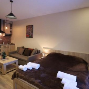 Фотография гостиницы Aparthotel in Bakuriani "The Valley"