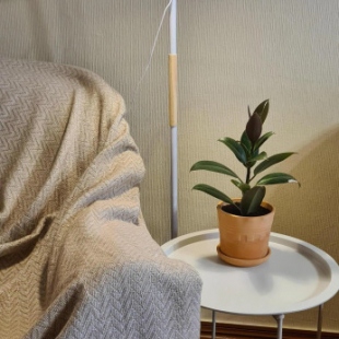 Фотография квартиры Квартира Apart_Comfort