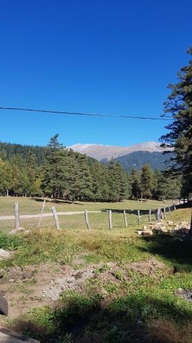 Фотография базы отдыха Леопард