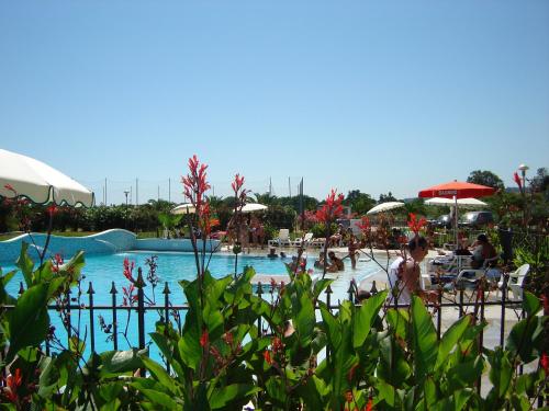 Фотография апарт отеля Elena Club Resort