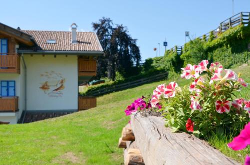 Фотография мини отеля BB le Fontanelle