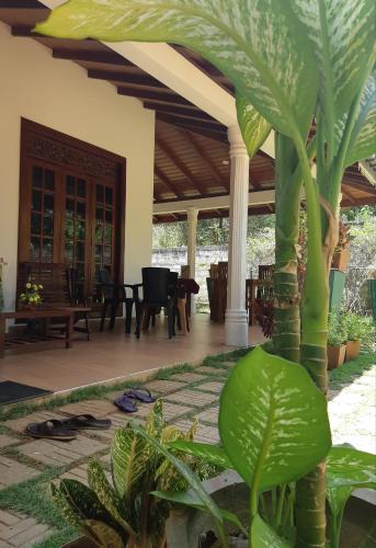 Фотография мини отеля Tamarind Tamarind Resort, Tourist Board Approved