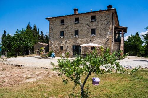 Фотография гостевого дома Le Terre di Caprano