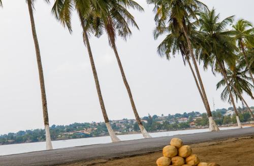 Фотография гостевого дома Paradise Agua Leve Residential