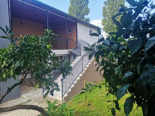 Фотография гостиницы Вилла Мандарини