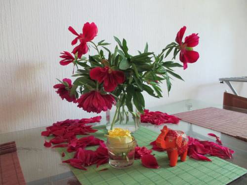 Фотография хостела Мансарда в центре города