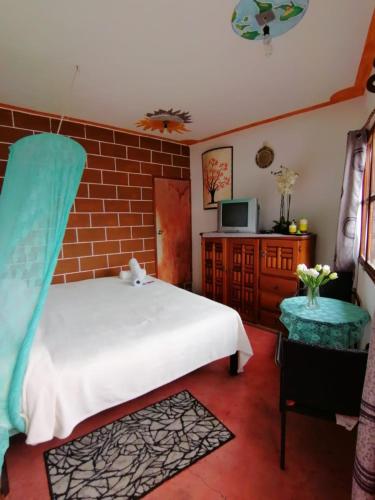 Фотография мини отеля Temazcal centro holistico "gema" adults only