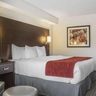 Фотографии гостиницы
Quality Inn Leamington