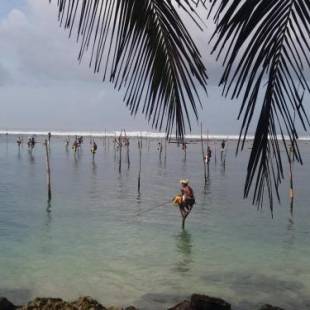 Фотографии гостевого дома
Sayuri Beach Hotel