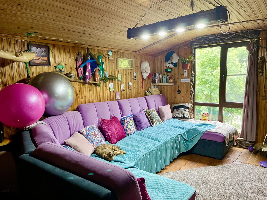 Фотография Коттеджа Частный Дом Гостевой Этаж Тульская Теснина