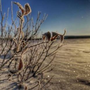 Фотографии гостиницы 
            Napapiirin Järvilomat