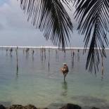 Фотография гостевого дома Sayuri Beach Hotel