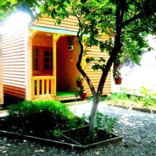 Фотография гостевого дома Светлана