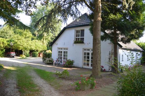 Фотография мини отеля B&B Stadsoase Nijmegen
