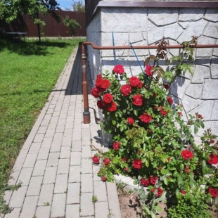 Фотография Коттеджа Частный дом Отдых в пригороде Калининграда