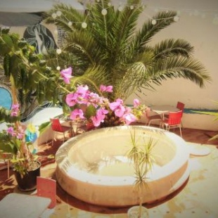 Фотография хостела Hostel The White Butterfly