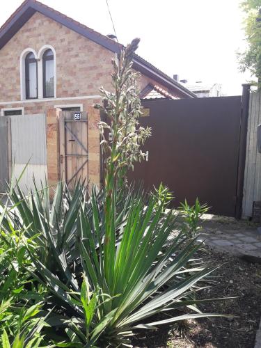 Фотографии гостевого дома
Анапское Взморье