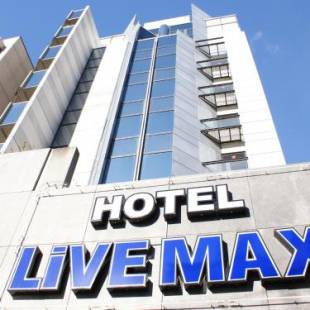 Фотографии гостиницы 
            Hotel Livemax Amagasaki