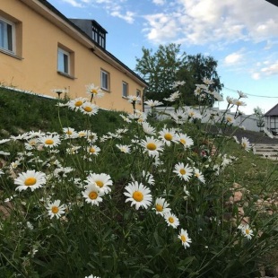 Фотография гостиницы Арт-отель Вернисаж