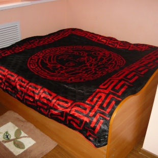 Фотография мини отеля Абсолют на Гагарина