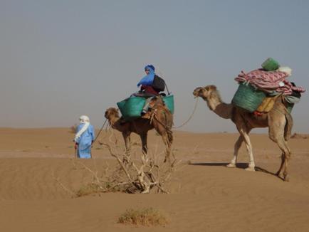 Фотография кемпинга Lahcen Sahara