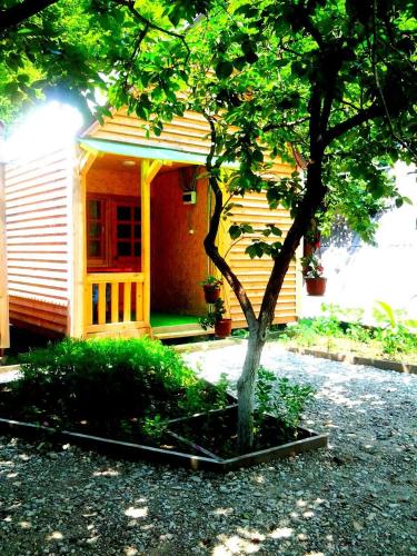 Фотографии гостевого дома
Светлана