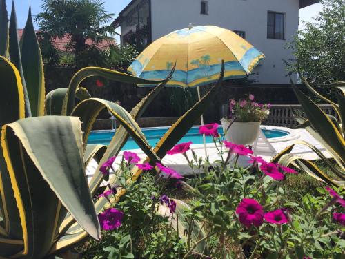 Фотография гостевого дома Мамайка