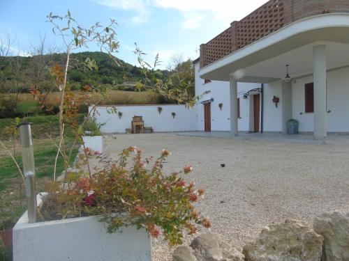 Фотография гостевого дома il pettirosso