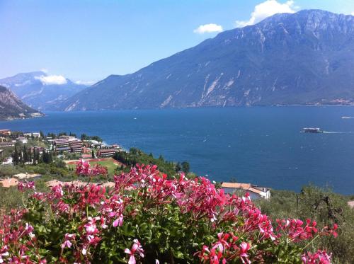 Фотография гостиницы Hotel Villa Margherita