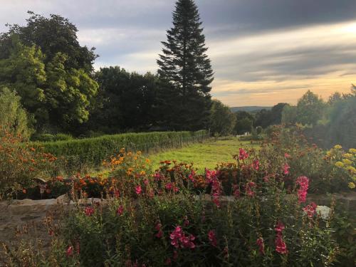 Фотография мини отеля L'Ancienne Boulangerie