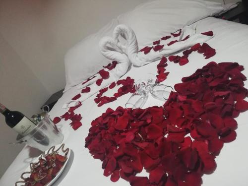 Фотография гостиницы Hotel Prado 53