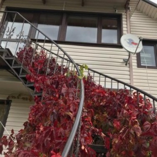 Фотография гостевого дома Белый Аист