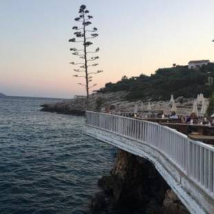 Фотографии гостиницы
Aquarius Hotel